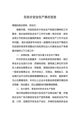 东安乡安全生产表态发言