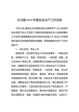 大兴镇2019年度安全生产工作总结