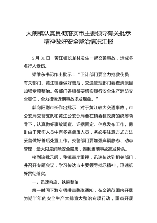 大朗镇认真贯彻落实市主要领导有关批示精神做好安全整治情况汇报