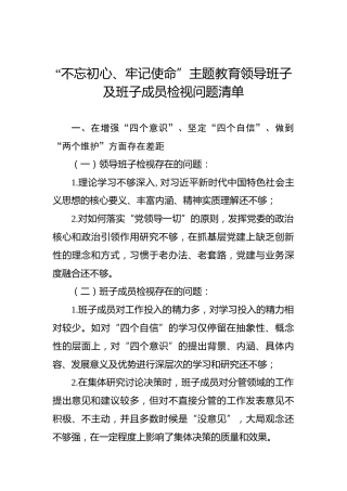 第二批“不忘初心、牢记使命”主题教育：领导班子及班子成员检视问题清单