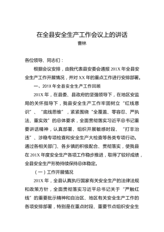 曹林：在全县安全生产工作会议上的讲话