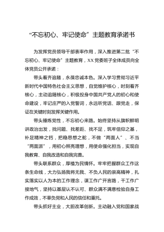 第二批“不忘初心、牢记使命”主题教育：承诺书【一】
