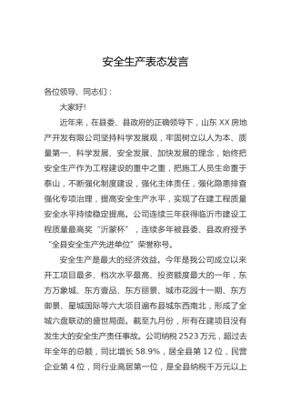 安全生产表态发言