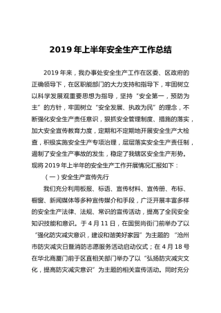 2019年上半年安全生产工作总结