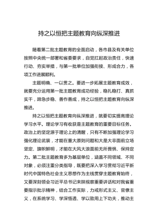 第二批“不忘初心、牢记使命”评论文章：第二批“不忘初心、牢记使命”评论文章：持之以恒把主题教育向纵深推进