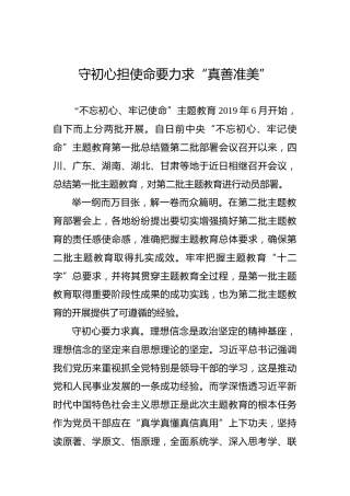 第二批“不忘初心、牢记使命”理论文章：守初心担使命要力求“真善准美”