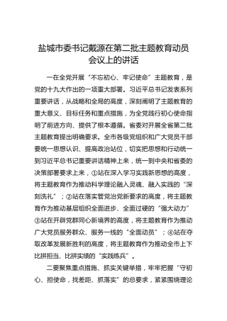 戴源：在第二批主题教育动员会议上的讲话