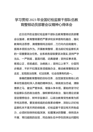 学习贯彻2023年全国纪检监察干部队伍教育整顿动员部署会议精神心得体会