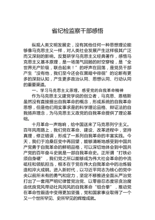 省纪检监察干部感悟（心得体会）