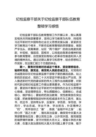 纪检监察干部关于纪检监察干部队伍教育整顿学习感悟