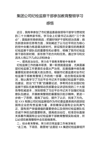 集团公司纪检监察干部参加教育整顿学习感悟（心得体会）