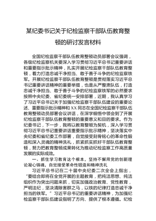 2023年某纪委书记关于纪检监察干部队伍教育整顿的研讨发言材料