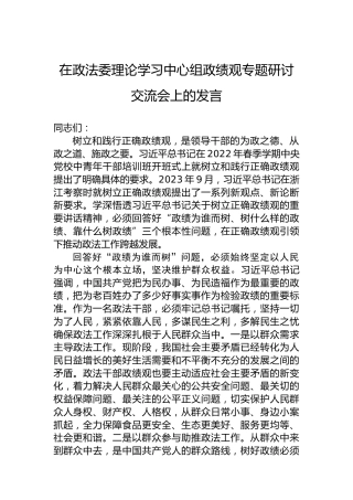 在政法委理论学习中心组政绩观专题研讨交流会上的发言