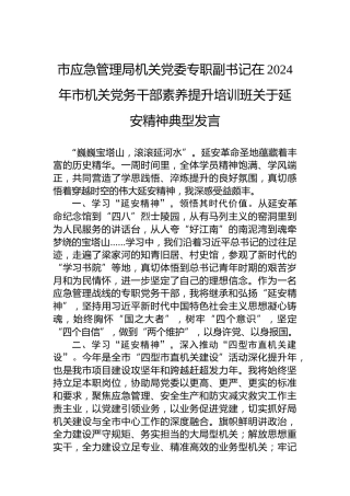 市应急管理局机关党委专职副书记在2024年市机关党务干部素养提升培训班关于延安精神典型发言