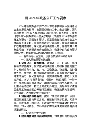 镇2024年政务公开工作要点 (2)