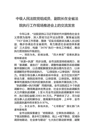 中级人民法院党组成员、副院长在全省法院执行工作现场推进会上的交流发言
