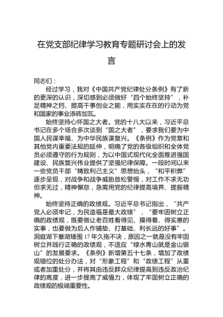 在党支部党纪学习教育专题研讨会上的发言