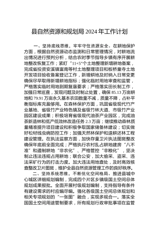 县自然资源和规划局2024年工作计划
