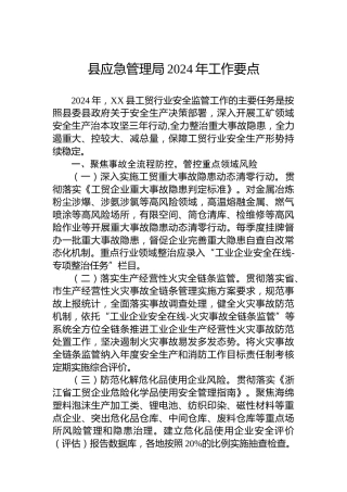县应急管理局2024年工作要点 (2)