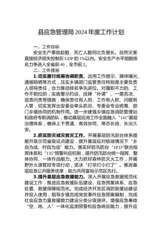 县应急管理局2024年度工作计划