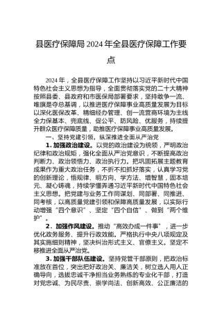 县医疗保障局2024年全县医疗保障工作要点