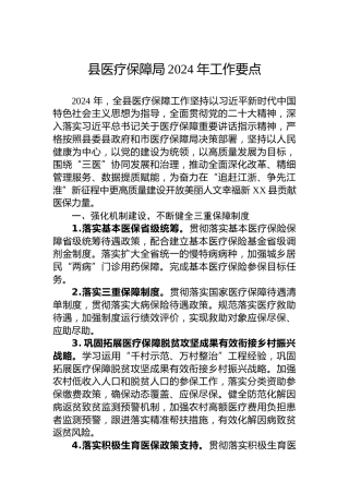 县医疗保障局2024年工作要点
