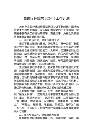 县医疗保障局2024年工作计划