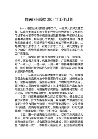 县医疗保障局2024年工作计划 (2)