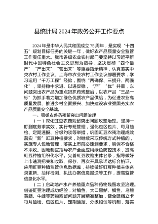 县统计局2024年政务公开工作要点