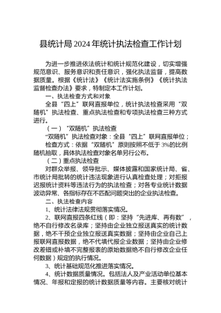县统计局2024年统计执法检查工作计划
