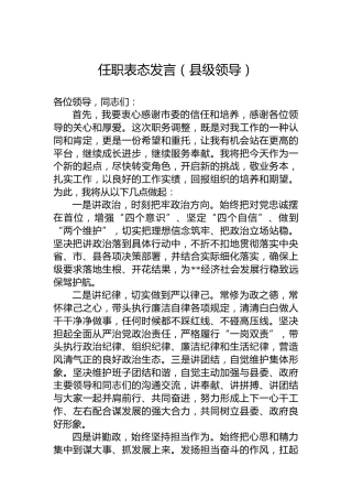 任职表态发言（县级领导）