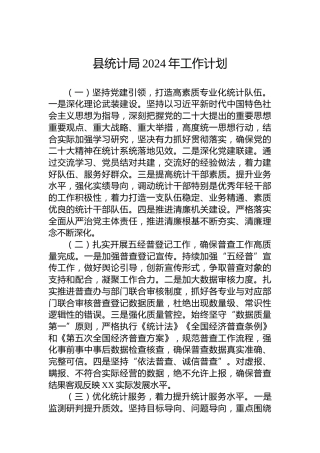 县统计局2024年工作计划 (2)