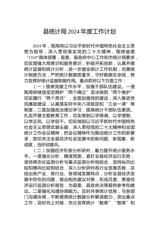 县统计局2024年度工作计划