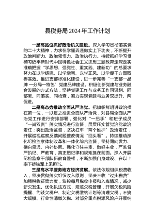 县税务局2024年工作计划 (2)