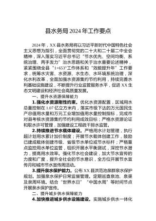 县水务局2024年工作要点 (2)