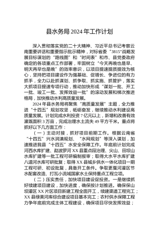 县水务局2024年工作计划