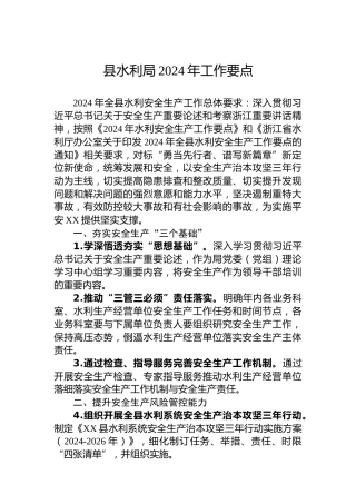 县水利局2024年工作要点