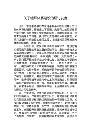 关于组织体系建设的研讨发言