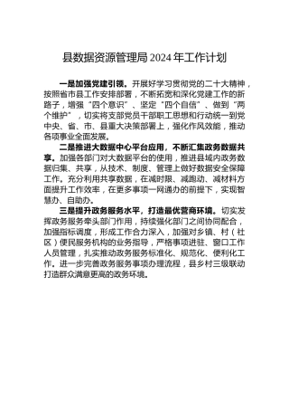 县数据资源管理局2024年工作计划
