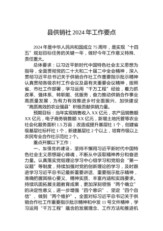 县供销社2024年工作要点