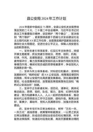 县公安局2024年工作计划 (2)