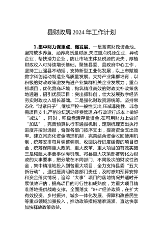 县财政局2024年工作计划 (2)