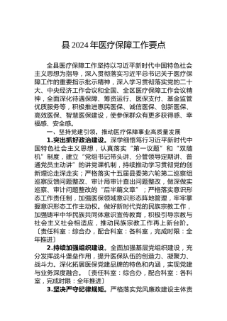 县2024年医疗保障工作要点