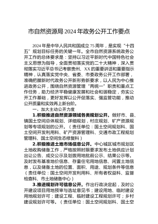 市自然资源局2024年政务公开工作要点