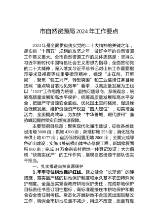 市自然资源局2024年工作要点