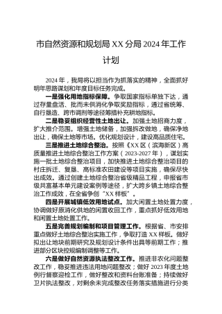 市自然资源和规划局XX分局2024年工作计划