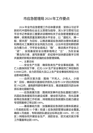 市应急管理局2024年工作要点