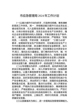 市应急管理局2024年工作计划