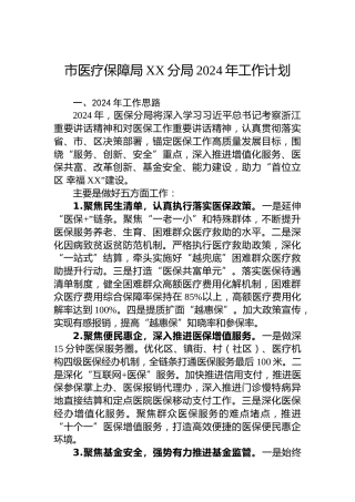 市医疗保障局XX分局2024年工作计划