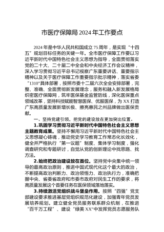 市医疗保障局2024年工作要点 (4)